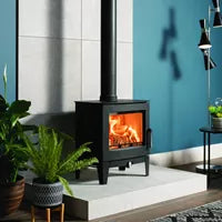 Modern room with a black freestanding stove, plants, and a blue wall.