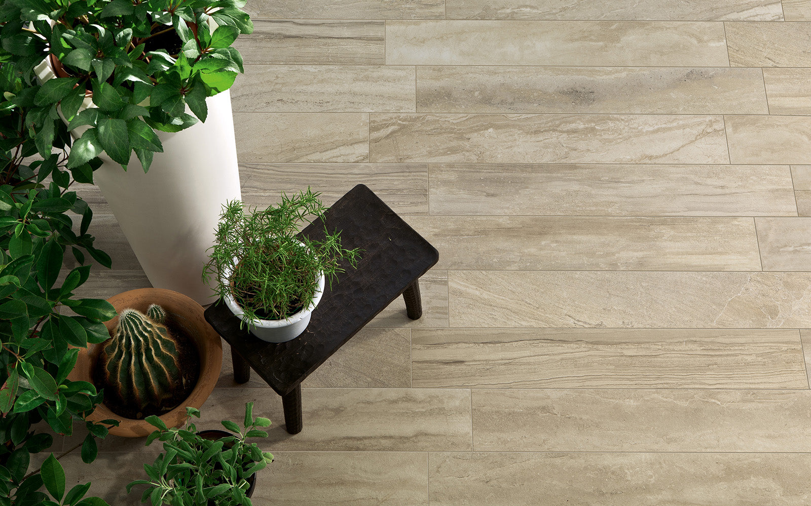 Wooden flooring with potted plants on a wooden surface